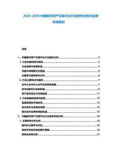 2025-2030中國數字資產交易平臺行業競爭態勢與投資布局規劃