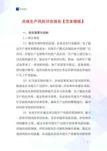 共線生產(chǎn)風(fēng)險(xiǎn)評(píng)估報(bào)告【范本模板】