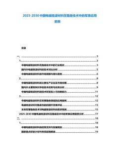 2025-2030中國電磁吸波材料在隱身技術中的軍事應用前景
