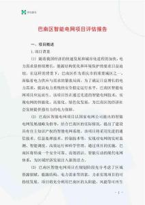 巴南區智能電網項目評估報告