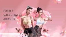 營銷策劃 -六只兔子場景化小胸內衣品牌策劃方案