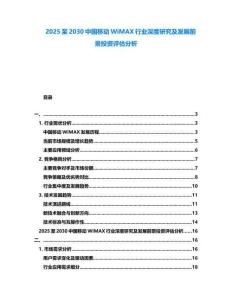 2025至2030中國移動WiMAX行業(yè)深度研究及發(fā)展前景投資評估分析