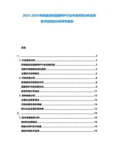 2025-2030橋梁建設(shè)和道路養(yǎng)護(hù)行業(yè)市場(chǎng)供需分析及投資評(píng)估規(guī)劃分析研究報(bào)告