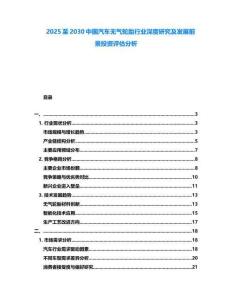 2025至2030中國汽車無氣輪胎行業深度研究及發展前景投資評估分析