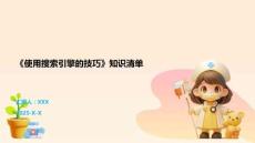 《使用搜索引擎的技巧》知識(shí)清單