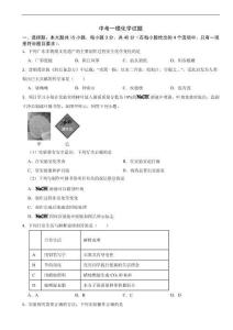 廣東省陽江市陽西縣2026年中考一模化學試題附答案