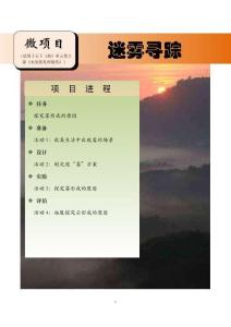 小學科學學生科技創新：微項目案例：《迷霧尋蹤》
