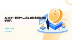 2026年中國(guó)叔十二烷基硫醇市場(chǎng)深度分析研究