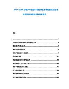 2025-2030中国汽车改装件制造行业市场现状供需分析及投资评估规划分析研究报告