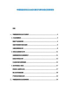 中國氫能初創(chuàng)企業(yè)成長路徑與孵化模式創(chuàng)新報告