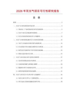 2026年雙光氣項(xiàng)目可行性研究報(bào)告