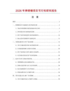 2026年拷銹錘項目可行性研究報告