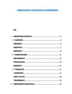中國漂洗添加劑行業競爭態勢及企業發展戰略研究