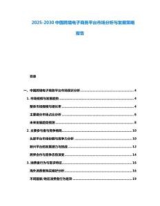2025-2030中國跨境電子商務平臺市場分析與發展策略報告