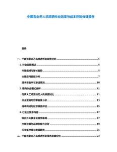 中國農業無人機噴灑作業效率與成本控制分析報告