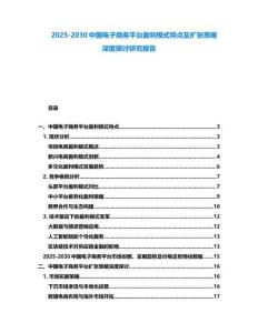 2025-2030中國電子商務平臺盈利模式特點及擴張策略深度探討研究報告