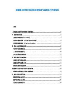 碳捕集與封存示范項目運營模式與政策支持力度報告