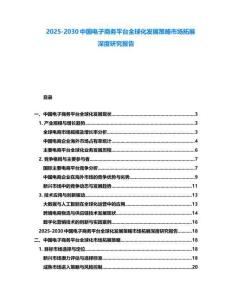 2025-2030中國電子商務平臺全球化發展策略市場拓展深度研究報告