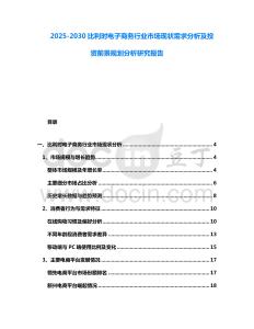 2025-2030比利時電子商務行業市場現狀需求分析及投資前景規劃分析研究報告