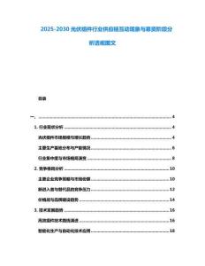 2025-2030光伏組件行業供應鏈互動現象與募資階段分析透視圖文