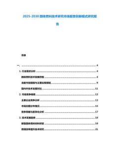 2025-2030固體燃料技術研究市場前景創新模式研究報告