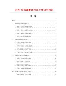 2026年防腐簧項目可行性研究報告