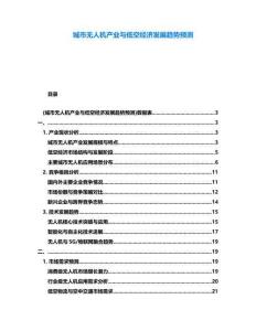 城市無人機(jī)產(chǎn)業(yè)與低空經(jīng)濟(jì)發(fā)展趨勢預(yù)測