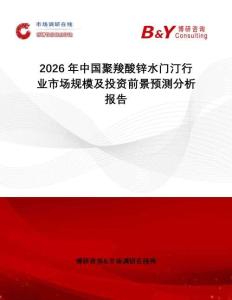 2026年中國(guó)聚羧酸鋅水門(mén)汀行業(yè)市場(chǎng)規(guī)模及投資前景預(yù)測(cè)分析報(bào)告