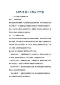 2025年電力設施保護方案