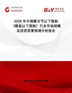 2026年中國膝關節以下假肢（膝蓋以下假肢）行業市場規模及投資前景預測分析報告
