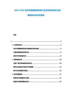 2025-2030光纖傳感器網絡系統行業市場供需動態與發展規劃評估分析報告