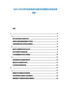 2025-2030薩爾瓦多電信行業技術升級路徑分析及應用前景