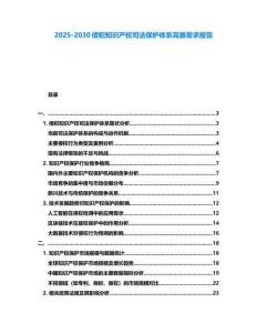 2025-2030侵犯知識產權司法保護體系完善需求報告