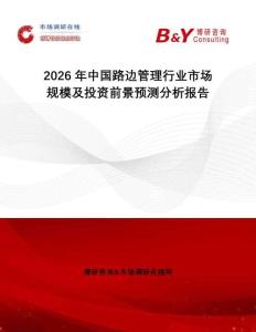 2026年中國路邊管理行業(yè)市場規(guī)模及投資前景預(yù)測分析報(bào)告