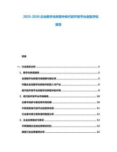 2025-2030企業數字化轉型中低代碼開發平臺選型評估報告