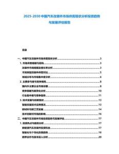 2025-2030中國汽車改裝件市場供需現(xiàn)狀分析投資趨勢與發(fā)展評估報告