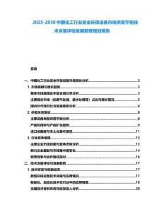 2025-2030中國化工行業(yè)安全環(huán)保設(shè)備市場供需平衡技術(shù)含量評估發(fā)展前景規(guī)劃報告