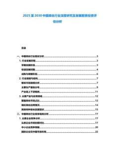 2025至2030中國單絲行業深度研究及發展前景投資評估分析