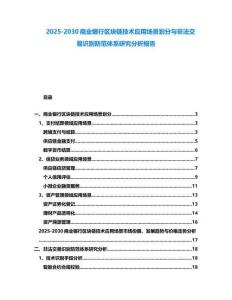 2025-2030商業(yè)銀行區(qū)塊鏈技術(shù)應(yīng)用場景劃分與非法交易識別防范體系研究分析報告