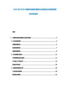 2025至2030中國熱電偶傳感器行業調研及市場前景預測評估報告