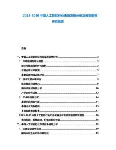 2025-2030中國人工智能行業市場發展分析及投資前景研究報告