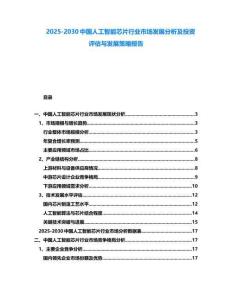 2025-2030中國人工智能芯片行業市場發展分析及投資評估與發展策略報告