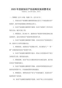 2025年國家知識產權戰略實施綱要考試