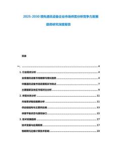 2025-2030領先通訊設備企業市場供需分析競爭力發展趨勢研究深度報告