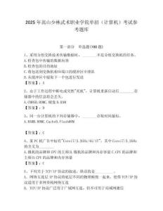 2025年嵩山少林武術(shù)職業(yè)學(xué)院單招（計(jì)算機(jī)）考試參考題庫最新