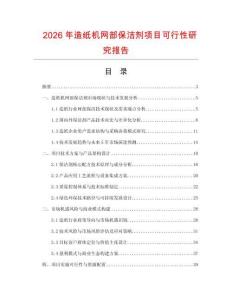 2026年造紙機網部保潔劑項目可行性研究報告