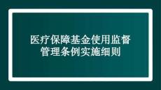 醫療保障基金使用監督管理條例實施細則