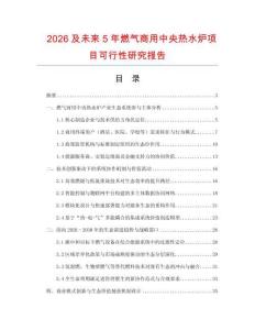 2026及未來5年燃?xì)馍逃弥醒霟崴疇t項目可行性研究報告