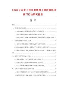2026及未來(lái)5年雙曲線棍子型校直機(jī)項(xiàng)目可行性研究報(bào)告