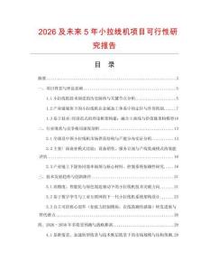 2026及未來5年小拉線機項目可行性研究報告